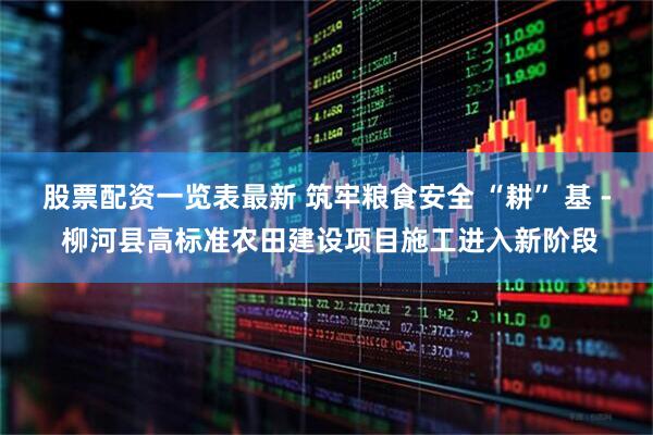 股票配资一览表最新 筑牢粮食安全 “耕” 基 - 柳河县高标准农田建设项目施工进入新阶段