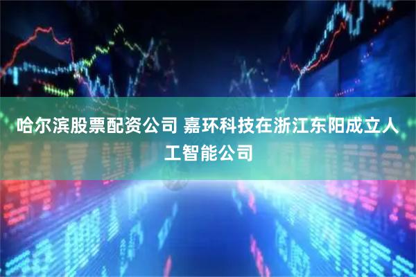 哈尔滨股票配资公司 嘉环科技在浙江东阳成立人工智能公司